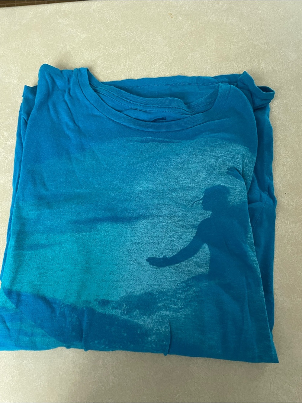 American Eagle Outfitters Teal Graphic Crew Neck T-Shirt